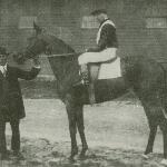 Tilly II