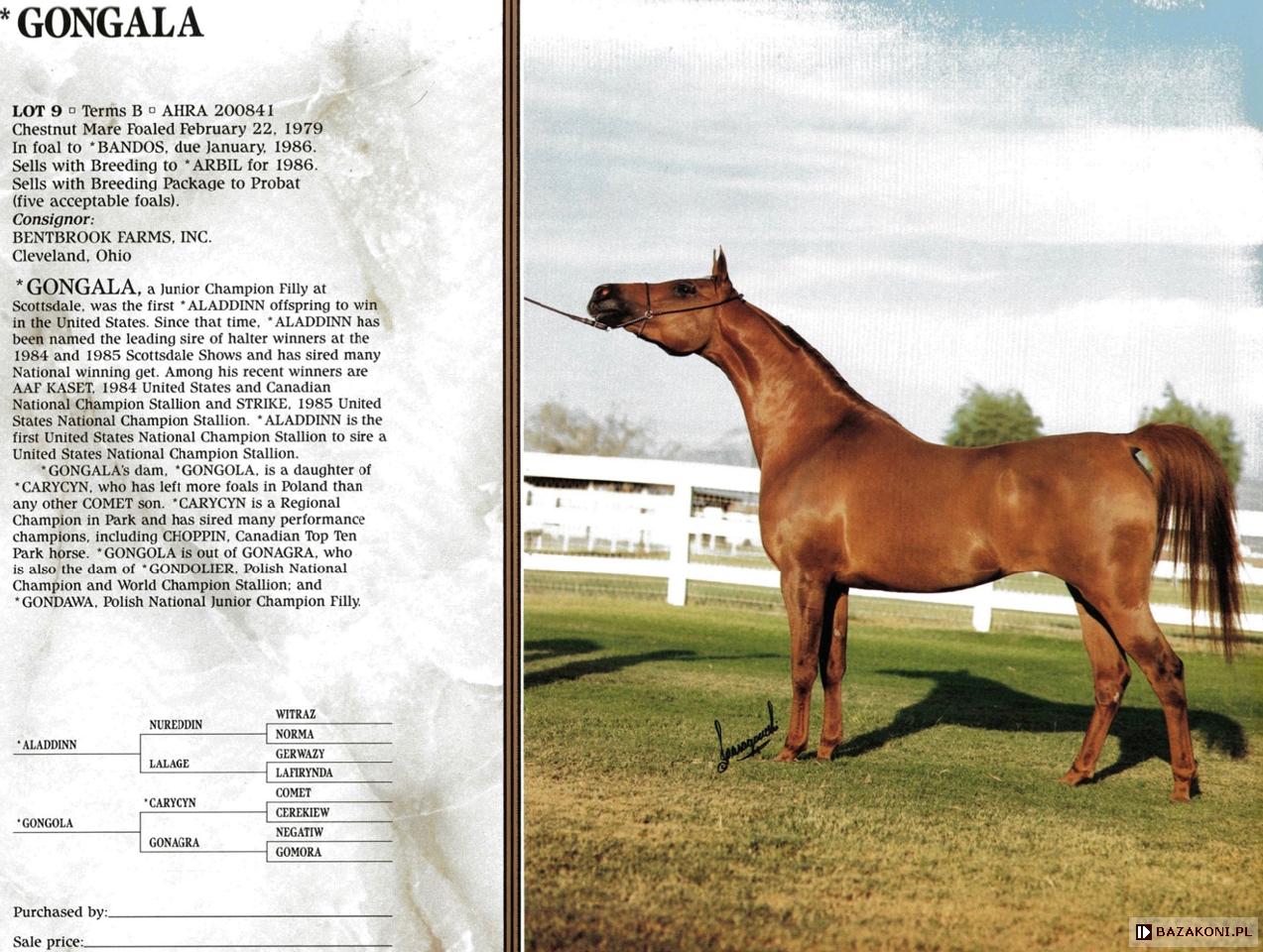 Gongala - 1986 Lasma Classic Sale katalog.<br />&copy; Jerry Sparagowski