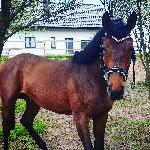 Chiko AA<br />&copy; Andżelika Mucha