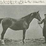 Arabella I