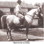 Nahrawan