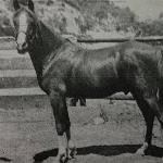 Rallaf