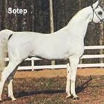 Sotep