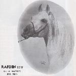 Rafden