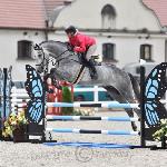 Chacco Gold Z<br />&copy; Katarzyna Wiszowaty