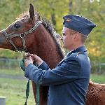 Estrel - 5.10.2021<br />&copy; Anna Pyzara-Nakoniechna