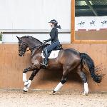 Free Bird-MG<br />&copy; Kowalscy Dressage