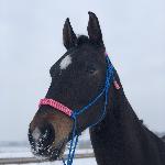 Eska - Eska 2020<br />&copy; Sandra nawrocka