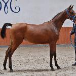 Coronita - 14.09.2022<br />&copy; Anna Pyzara-Nakoniechna