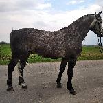 Nadir