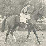 Maddalena Lair<br /><i>Jeździec i Hodowca 1939.</i>
