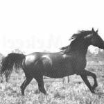 Ramghaza