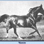 Ramim