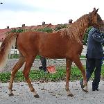 Wiosenny Walc - 14.09.2022<br />&copy; Anna Pyzara-Nakoniechna