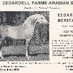 Cedardel Heritage