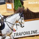 Kselion - Cavaliada Warszawa 2022<br />&copy; Dava Palej Timeless Photography