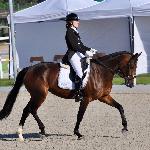 Diarada<br /><i>fb Dressage24.pl</i>