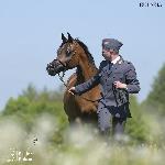 Eulakia - Eulakia, maj 2025<br />&copy; Stuart Vesty