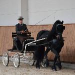 Gerrit FB04