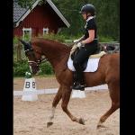 Joep