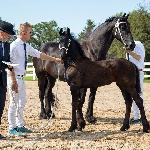Klaske fan Black Pearl