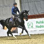 Di Caprio Z<br />&copy; Katarzyna Wiszowaty