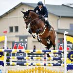 Casallcento PS<br />&copy; www.cichonstallions.pl