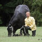Steven fan Wiekes Hiem