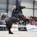 Tsjerry fan Henswoude