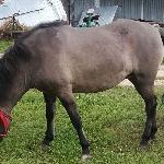 K-Sabina T - 09.2021 mazowieckie