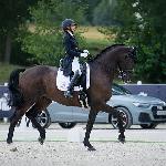 Dean Martin<br />&copy; Anna Przybył / dressage24.pl