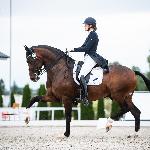 Force<br />&copy; Julia Świętochowska<br /><i>fb dressage24.pl</i>