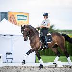 Go Go Borneo<br />&copy; Julia Świętochowska<br /><i>fb Dressage24.pl</i>