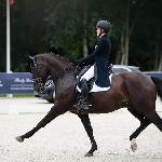Diamo Dream