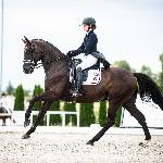 Diamo Dream<br />&copy; Julia Świętochowska<br /><i>fb dressage24.pl</i>