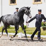 Chochlik<br />&copy; Joanna Nowaczyk<br /><i>Maj 2024</i>