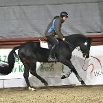 Totoulon Z<br />&copy; Katarzyna Wiszowaty