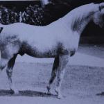 Courier