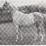 Passia