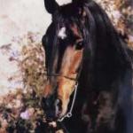 Maar-Khaliq