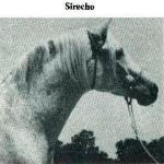 Sirecho