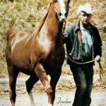 Shah-Loul