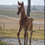Livorna<br />&copy; Karolina Misztal