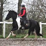 Ineke