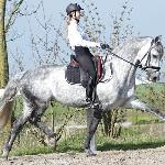 Topspeed Gorba
