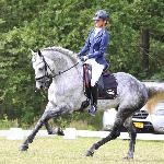 Topspeed Gorba