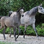 Bodmin - z matką, 14.09.2022<br />&copy; Anna Pyzara-Nakoniechna