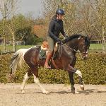 Reddy Wally Ter Linden
