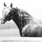 Tsali