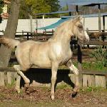Far Hills JeT'aime